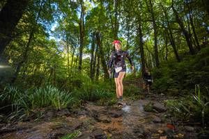 BIB: 
                            <button type="button" onclick="openModal(19230131)" class="btn btn-primary btn-sm float-right btn-popup" data-toggle="modal" data-target=".modal-high-quality">
                        <i class="fas fa-shopping-cart"></i> Add to Cart
                    </button>
                                            <button type="button" onclick="isThisMe(19230131, true)" class="btn btn-success btn-sm float-right btn-popup btn-isme hidden" data-toggle="tooltip" data-placement="bottom" title="นี่คือรูปของคุณใช่ไหม คลิกที่นี่เพื่อเอาเข้าอัลบั้ม">
                        <i class="fas fa-plus"></i> Add to album
                    </button>
                    <button type="button" onclick="isThisMe(19230131, false)" class="btn btn-warning btn-sm float-right btn-popup btn-isnotme hidden">
                        <i class="fas fa-ban"></i> Remove from album
                    </button>